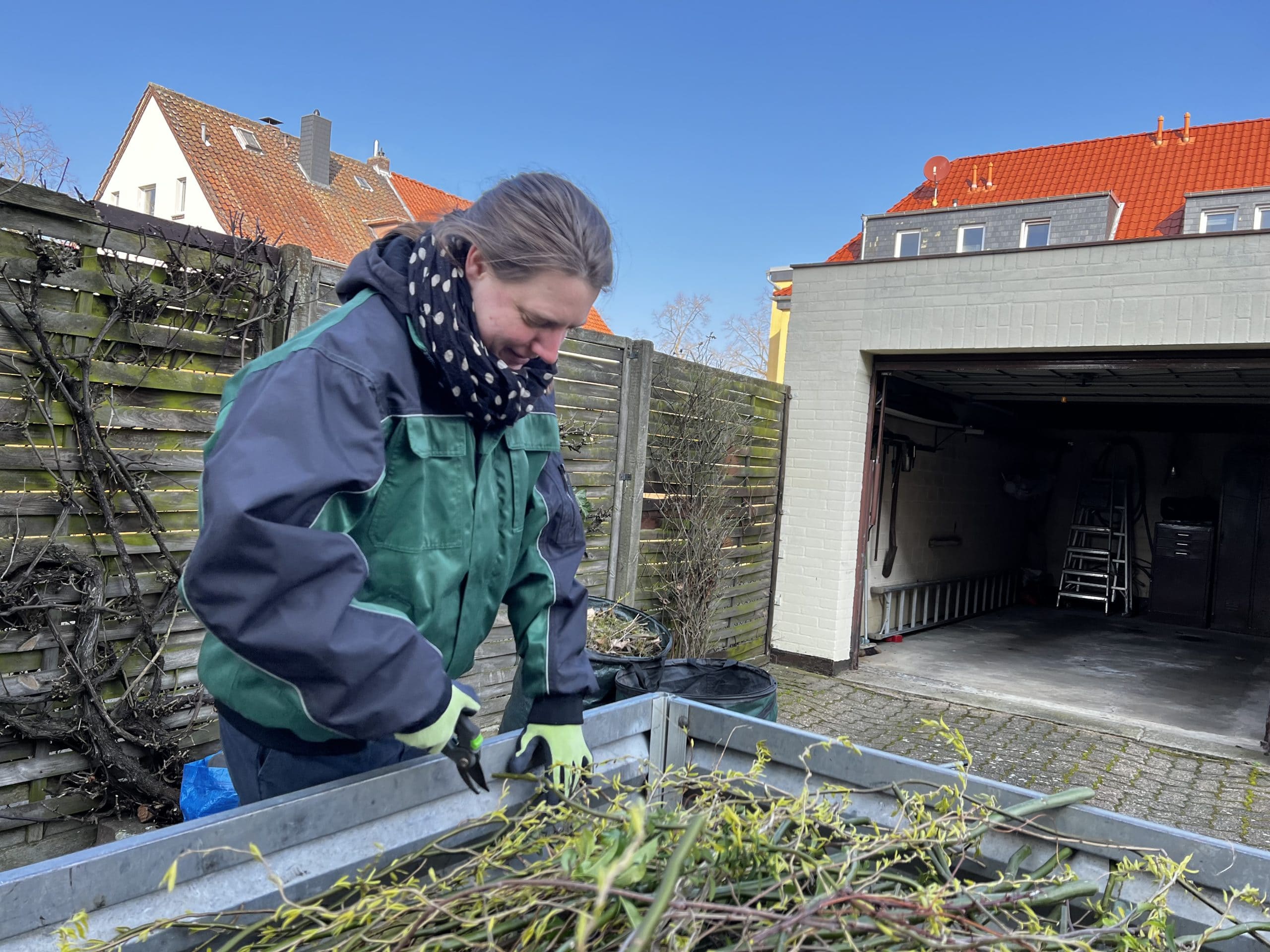 Neue Pflanzen Einpflanzen
